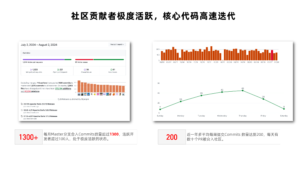 鲁志敬：Apache Doris社区发展与共建_第8页