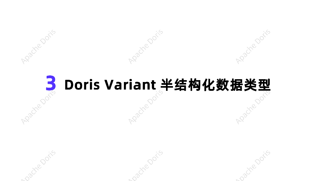 肖康：Apache Doris Variant-半结构化数据分析利器_第10页