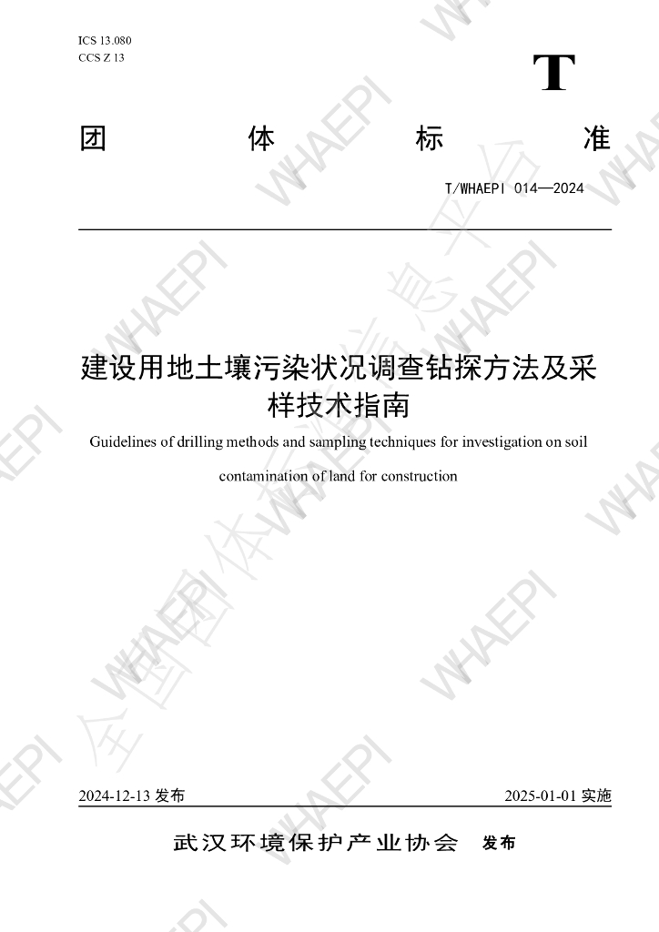 T/WHAEPI 014-2024 标准预览