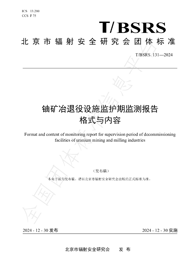 T/BSRS 131-2024 标准预览