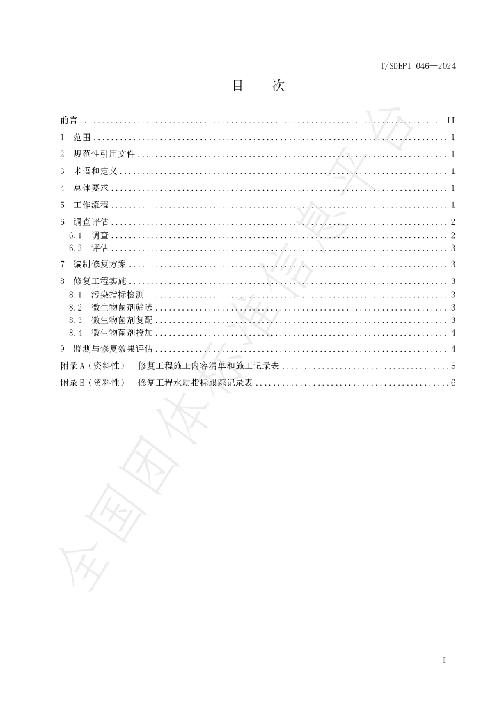 T/SDEPI 046-2024 标准预览