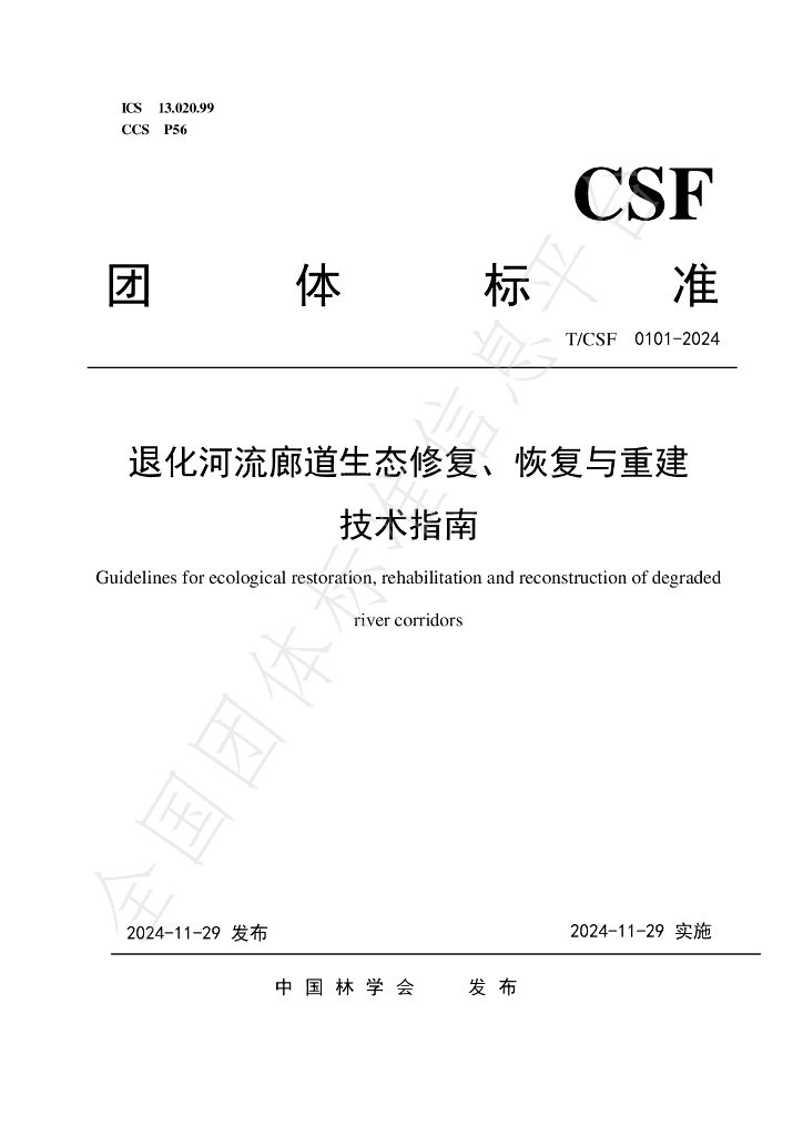 T/CSF 0101-2024 标准预览