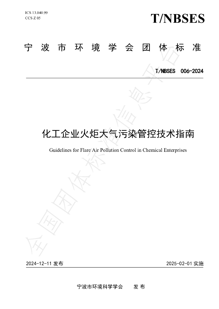 T/NBSES 006-2024 标准预览