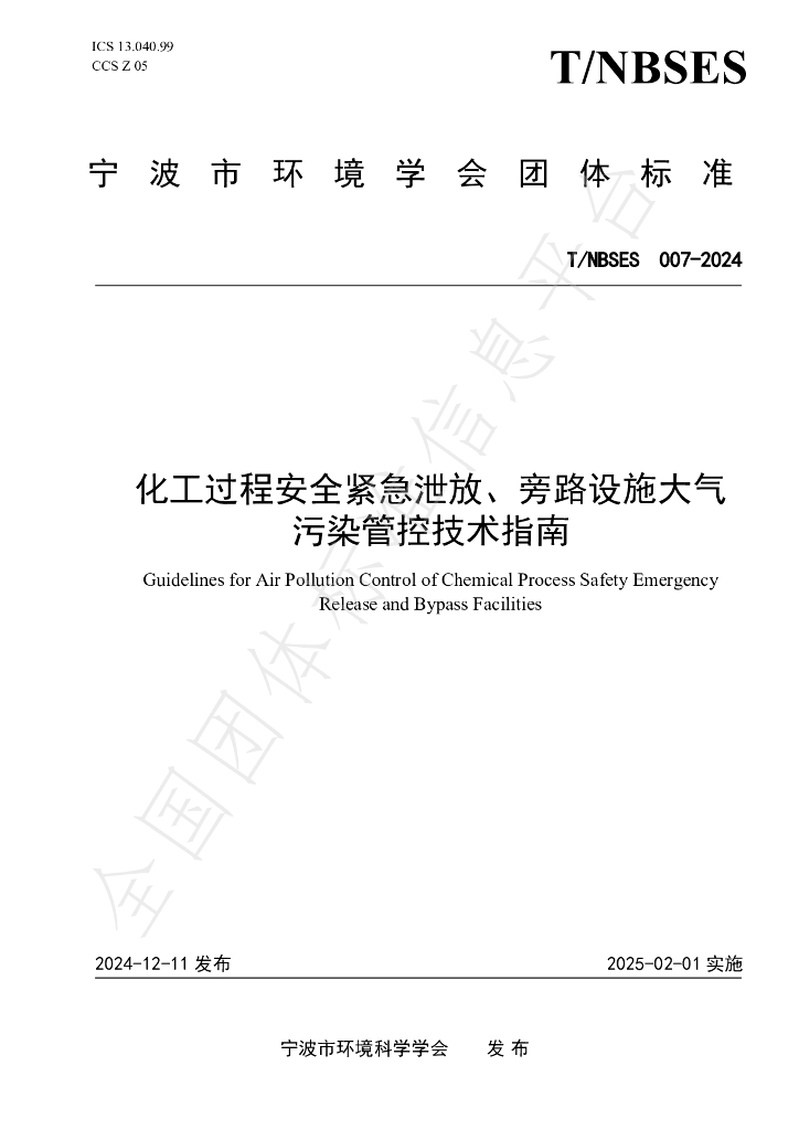 T/NBSES 007-2024 标准预览