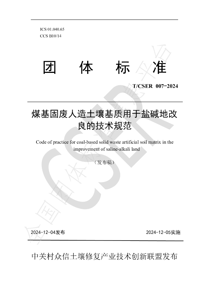 T/CSER 007-2024 标准预览