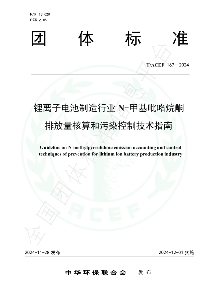 T/ACEF 167-2024 标准预览