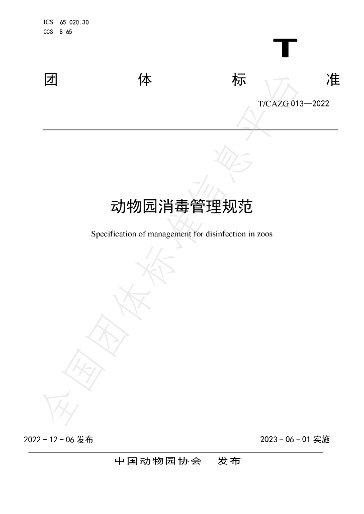 T/CAZG 013-2022 标准预览