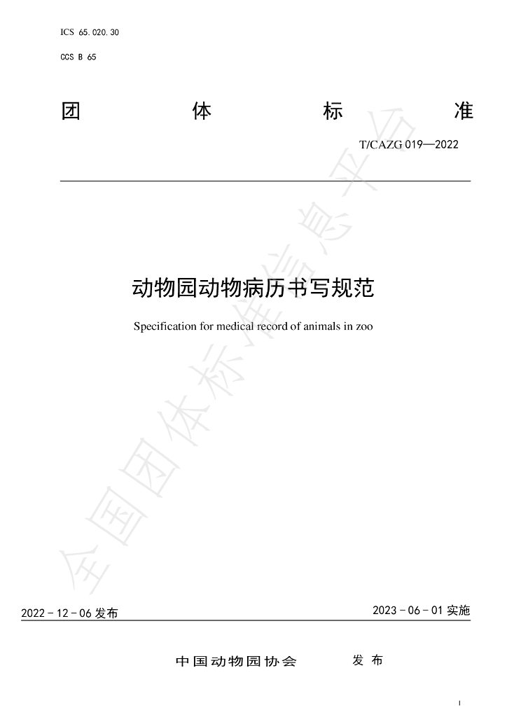 T/CAZG 019-2022 标准预览