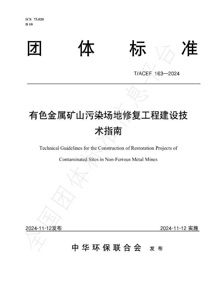 T/ACEF 163-2024 标准预览