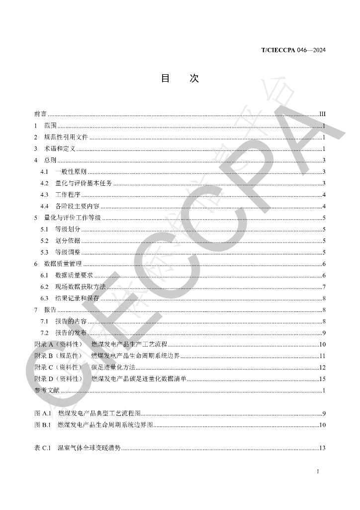 T/CIECCPA 046-2024 标准预览
