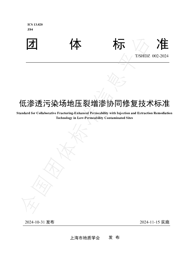 T/SHDZ 002-2024 标准预览