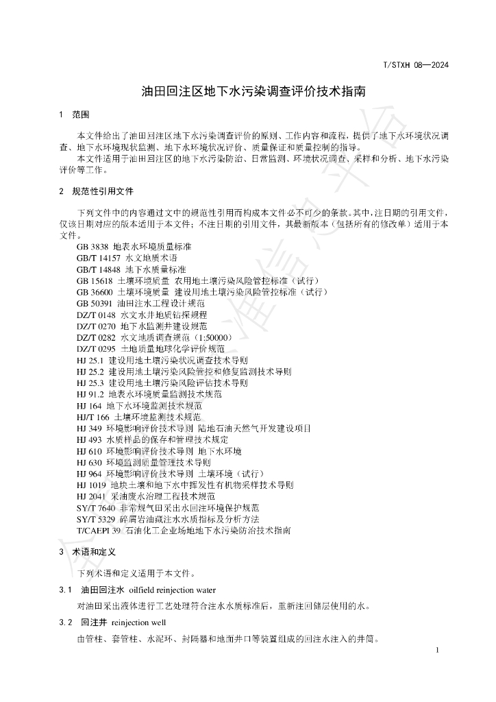 T/STXH 08-2024 标准预览