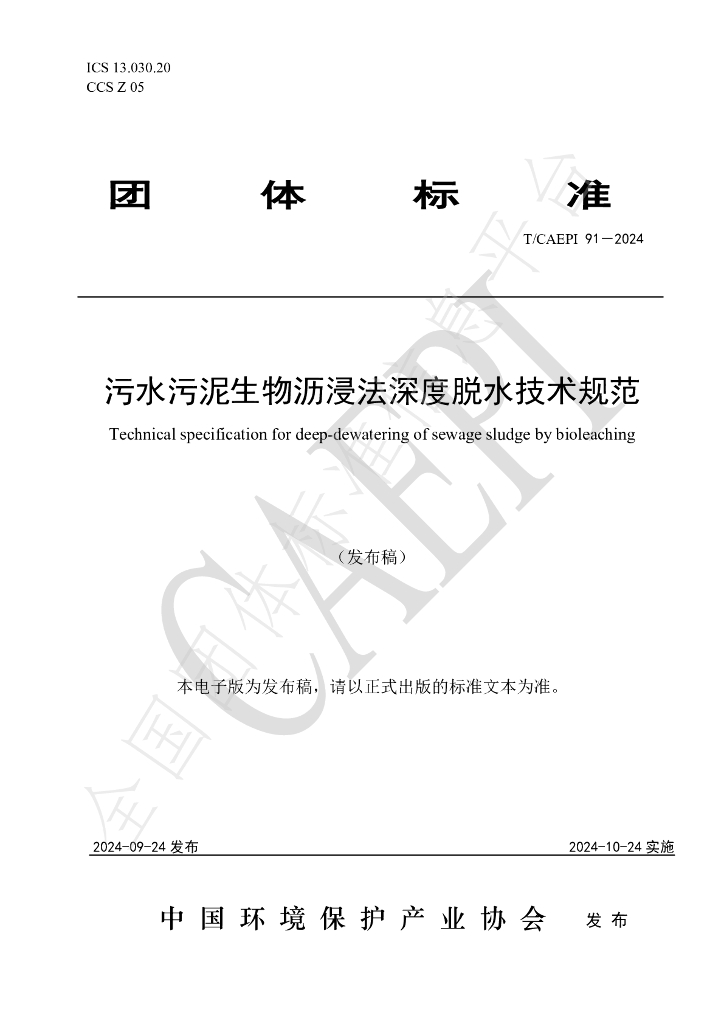 T/CAEPI 91-2024 标准预览