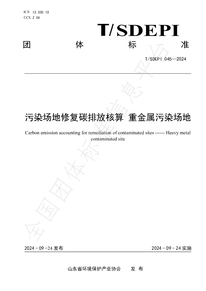 T/SDEPI 045-2024 标准预览
