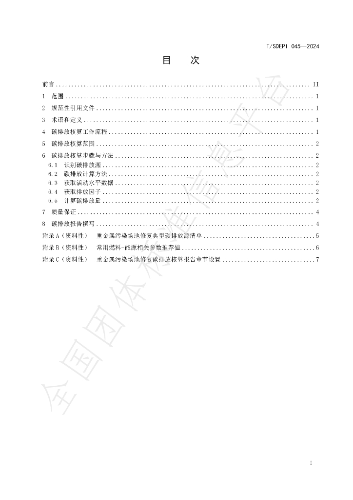 T/SDEPI 045-2024 标准预览