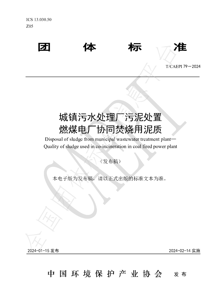 T/CAEPI 79-2024 标准预览