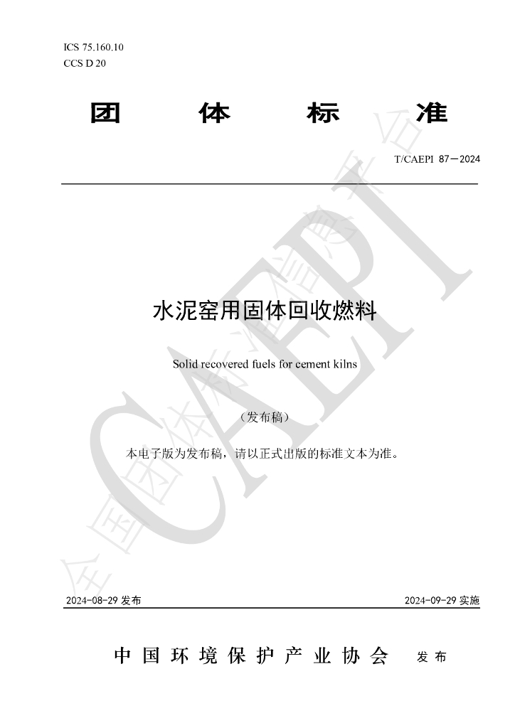 T/CAEPI 87-2024 标准预览
