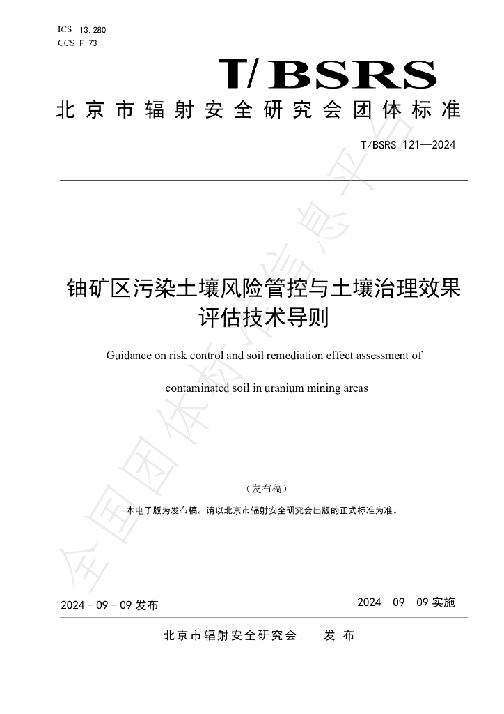 T/BSRS 121-2024 标准预览