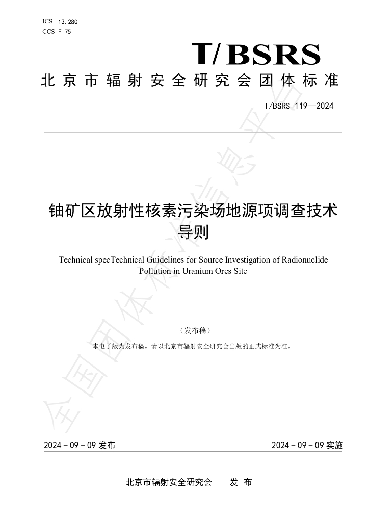 T/BSRS 119-2024 标准预览