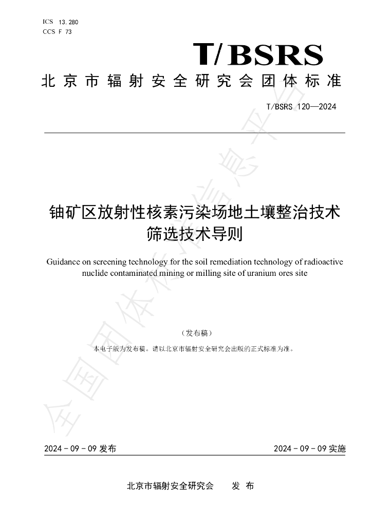 T/BSRS 120-2024 标准预览