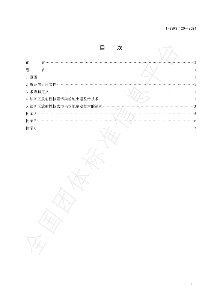 T/BSRS 120-2024 标准预览