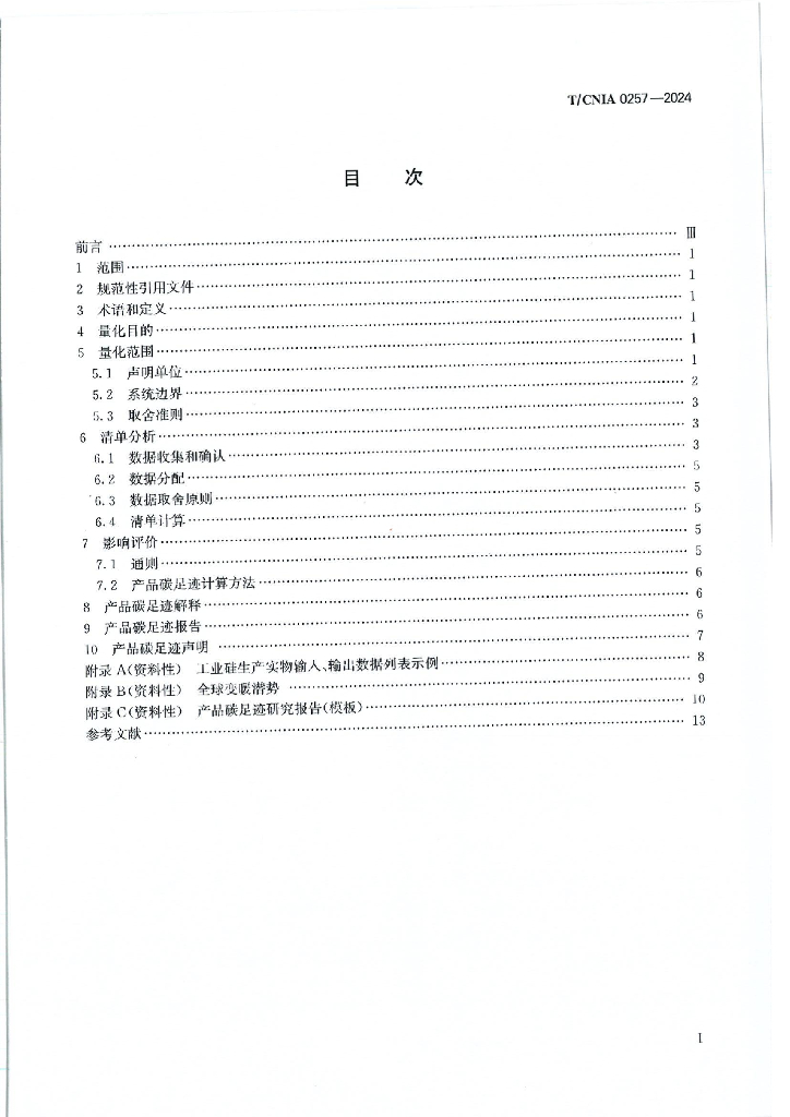 T/CNIA 0257-2024 标准预览
