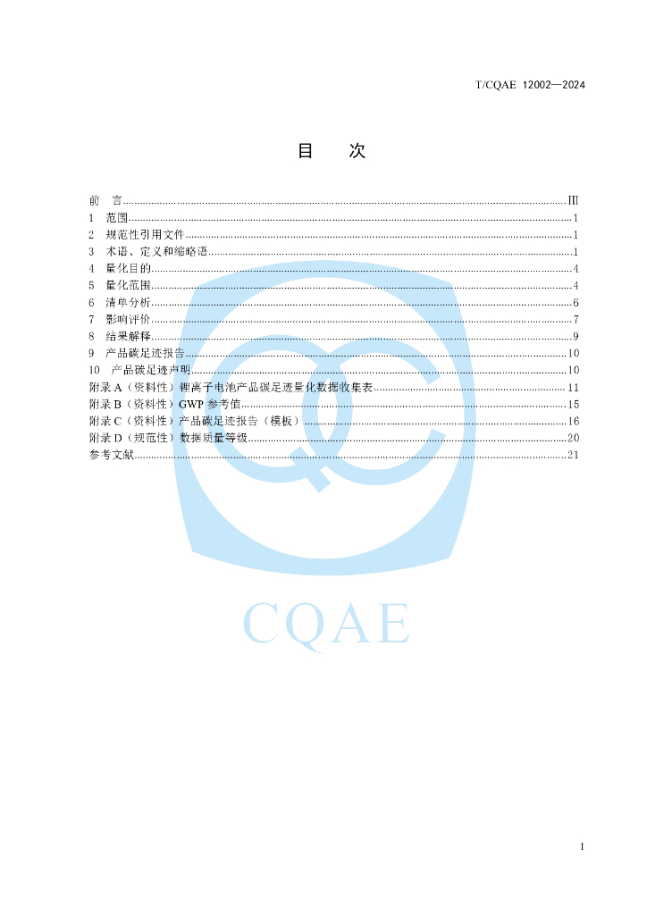 T/COAE 12002-2024 标准预览