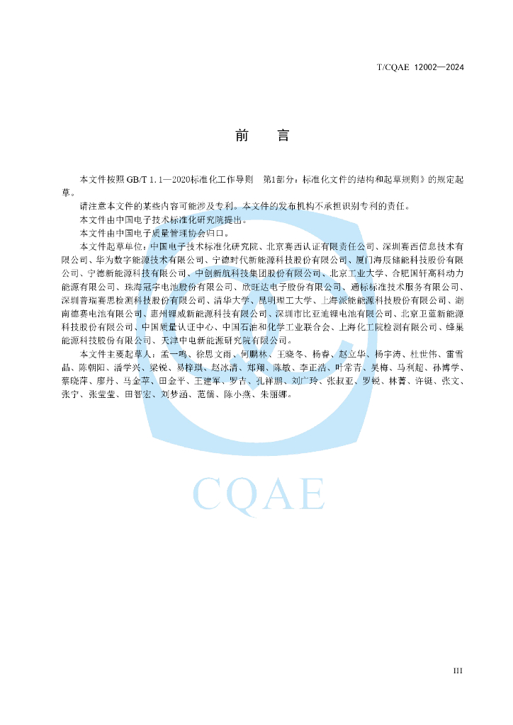 T/COAE 12002-2024 标准预览
