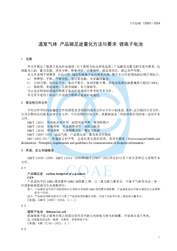 T/COAE 12002-2024 标准预览