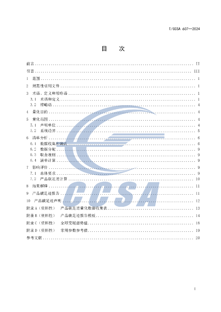 T/CCSA 607-2024 标准预览