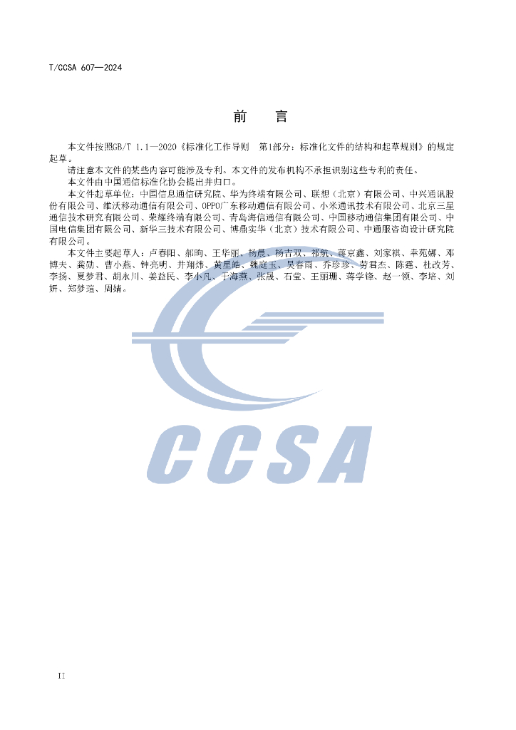 T/CCSA 607-2024 标准预览