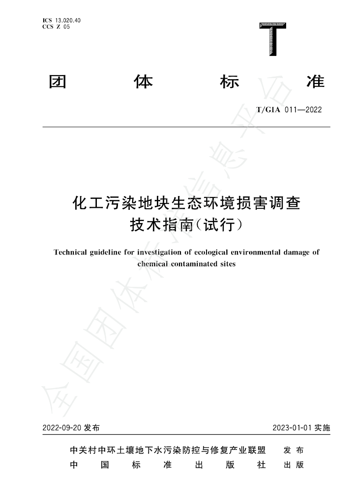 T/GIA 011-2022 标准预览