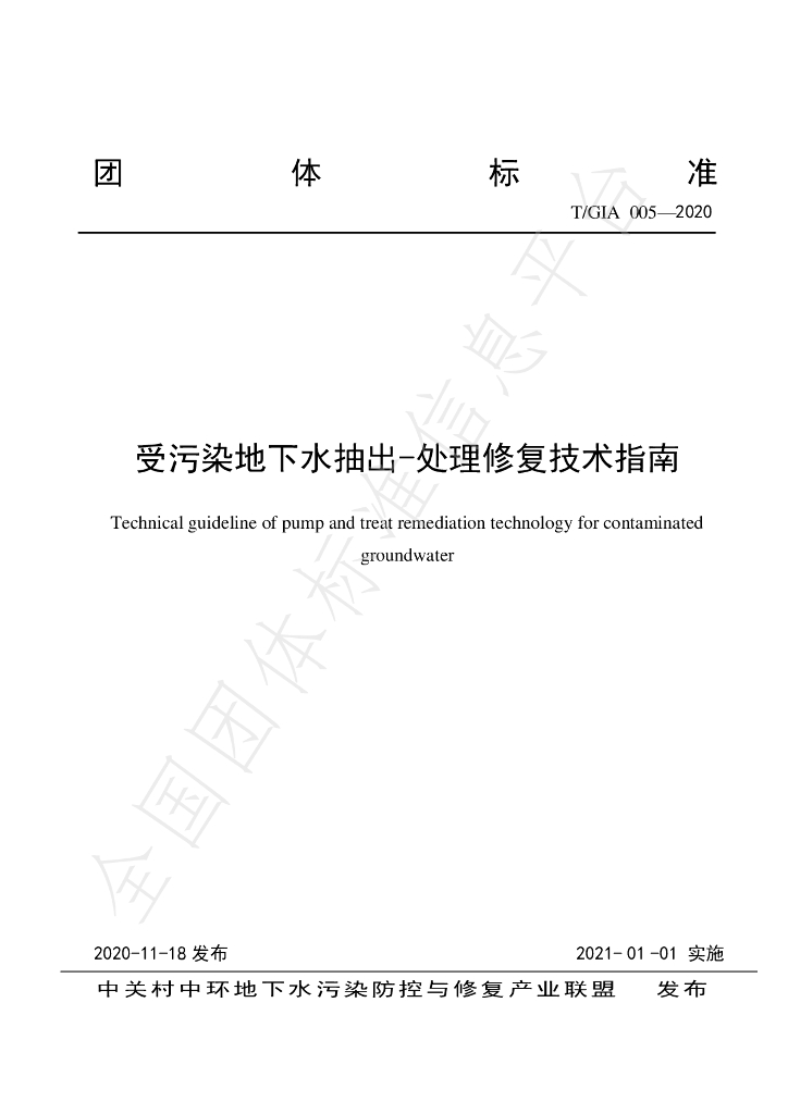 T/GIA 005-2020 标准预览