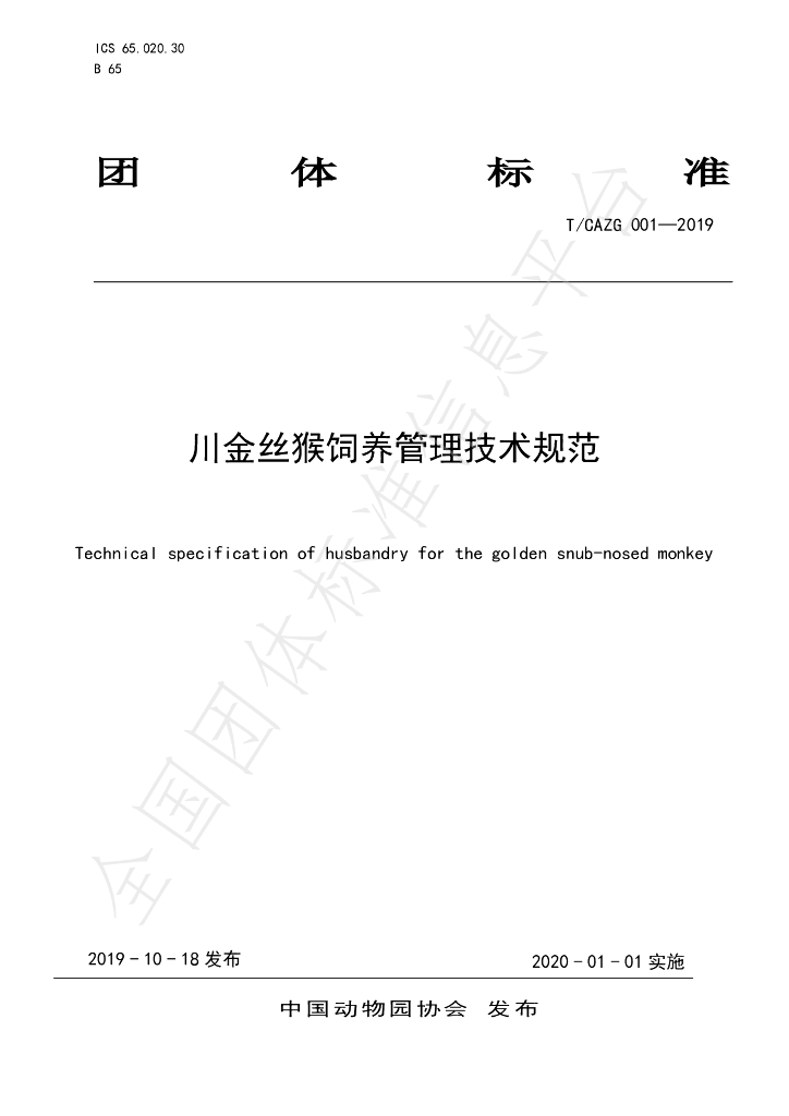T/CAZG 001-2019 标准预览