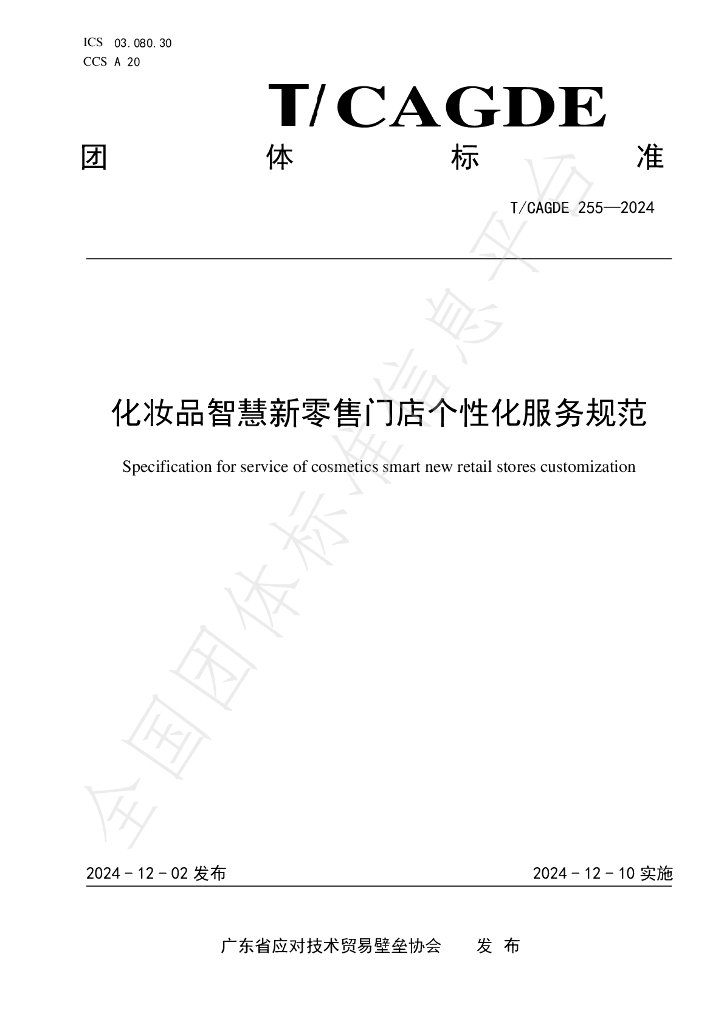 T/CAGDE 255-2024 标准预览