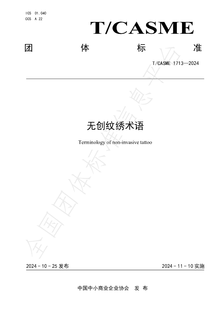 T/CASME 1713-2024 标准预览