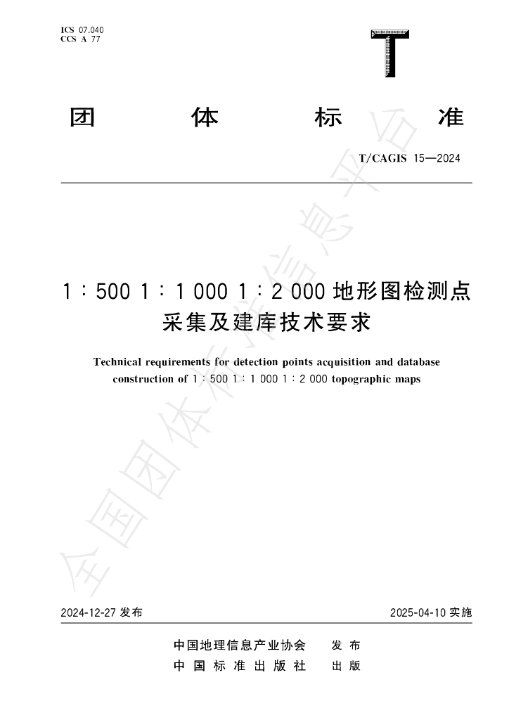 T/CAGIS 15-2024 标准预览