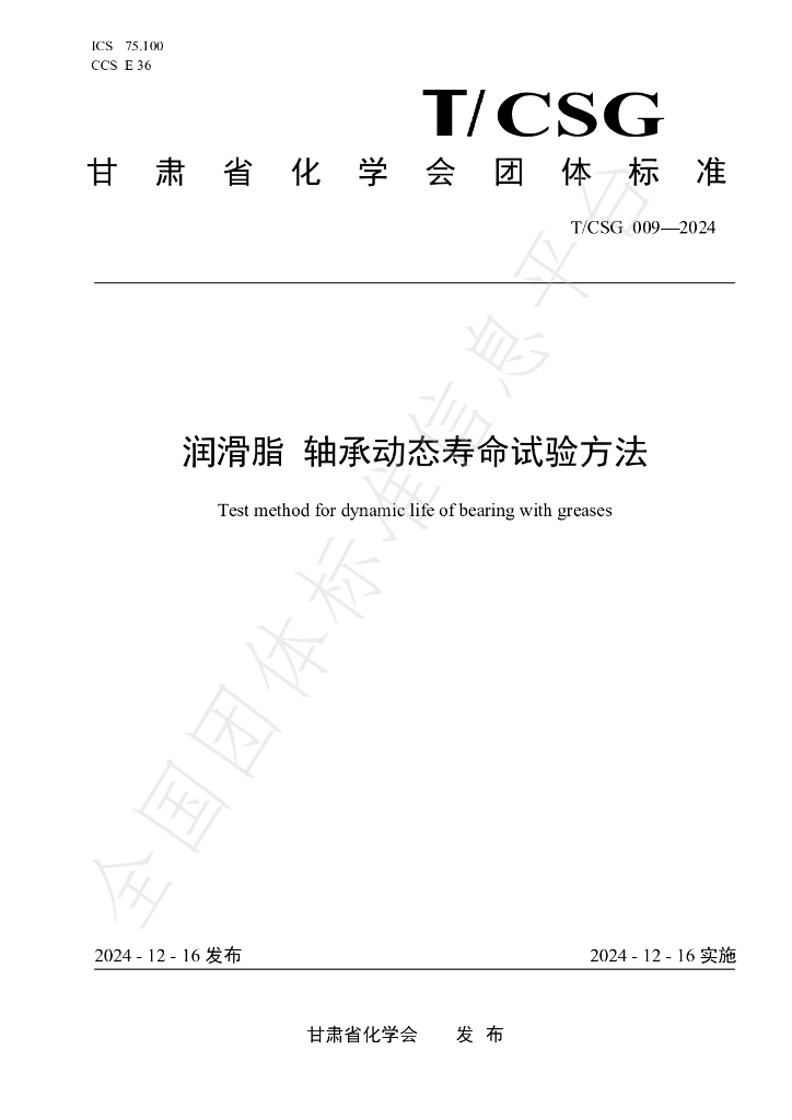 T/CSG 009-2024 标准预览