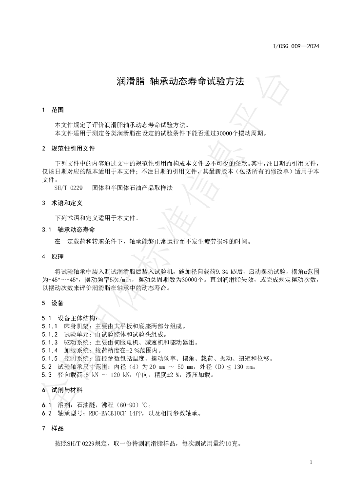 T/CSG 009-2024 标准预览