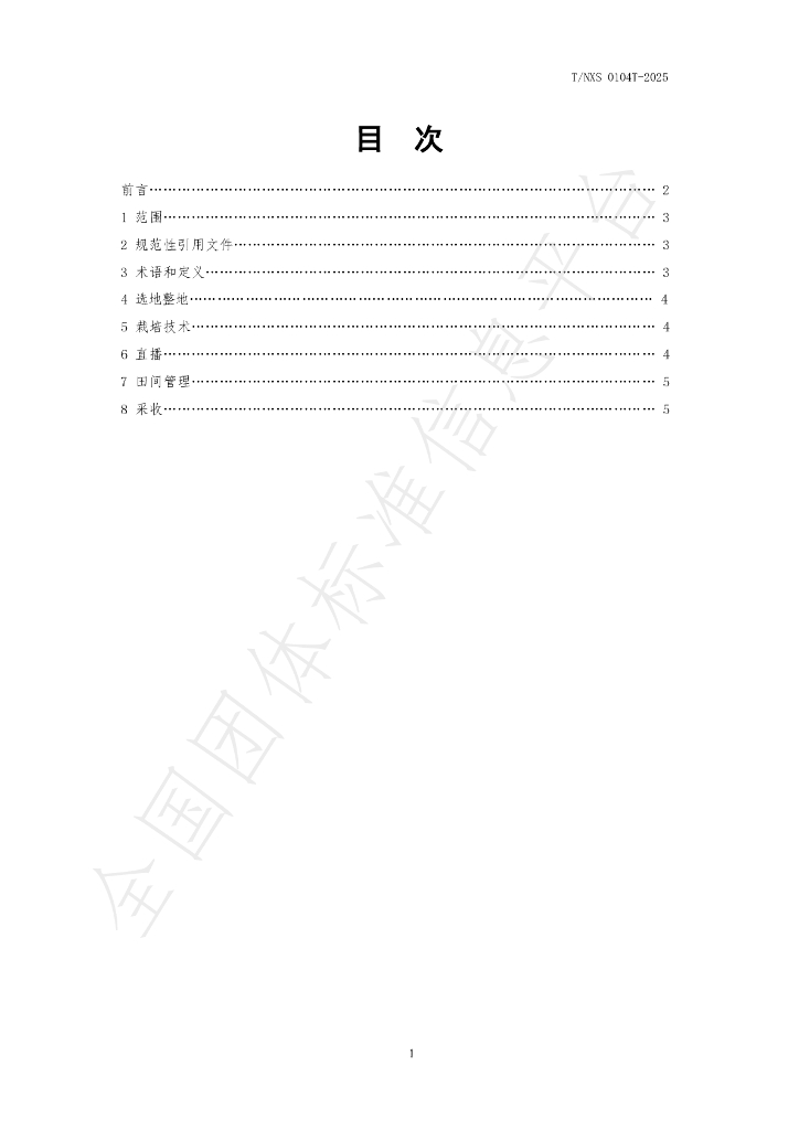T/NXS 0104T-2025 标准预览