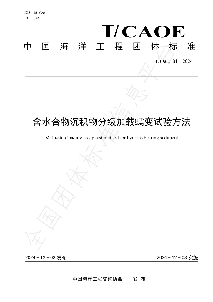 T/CAOE 81-2024 标准预览