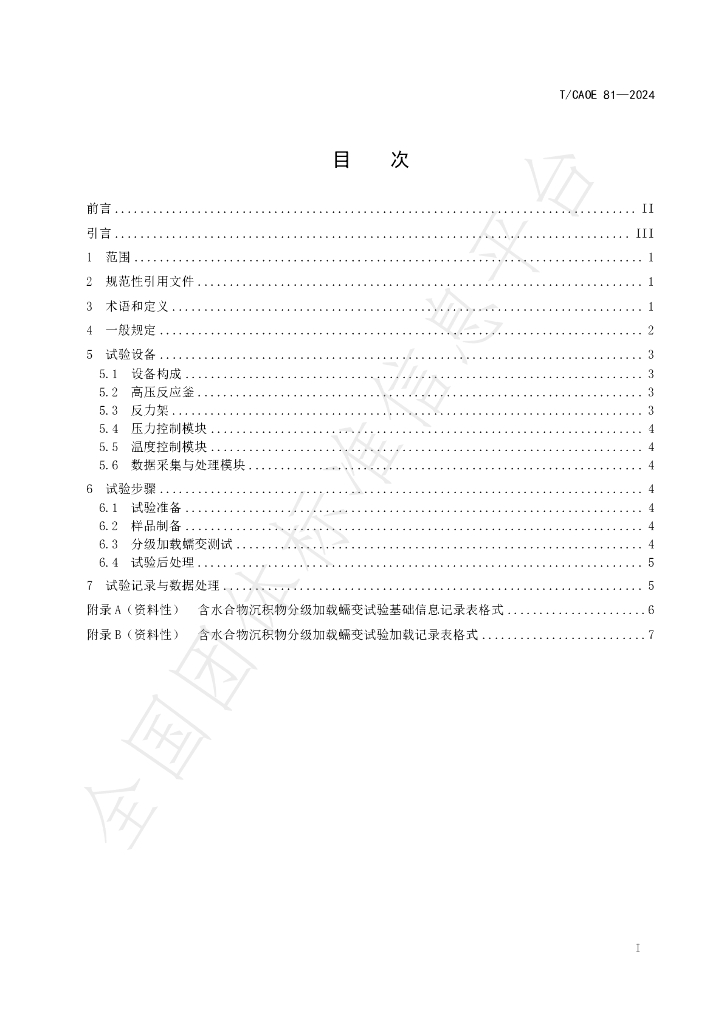 T/CAOE 81-2024 标准预览
