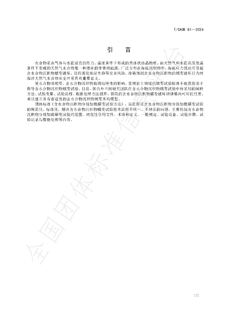T/CAOE 81-2024 标准预览