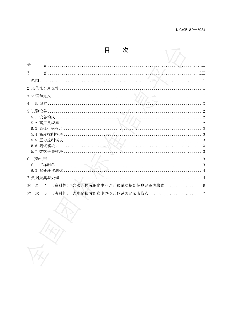 T/CAOE 80-2024 标准预览
