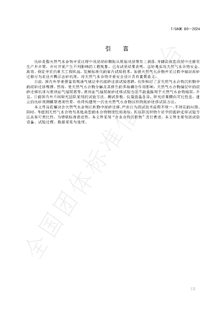 T/CAOE 80-2024 标准预览