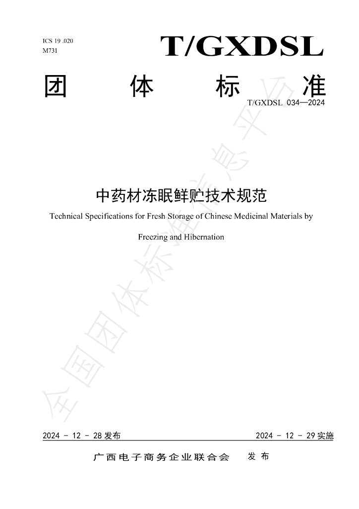 T/GXDSL 034-2024 标准预览