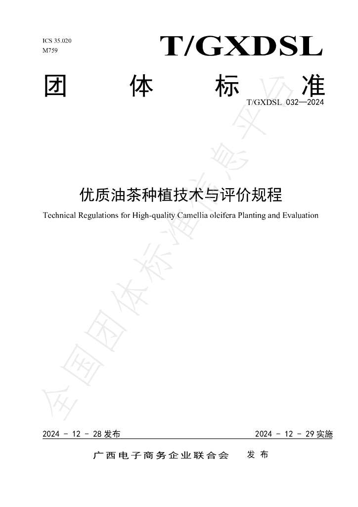T/GXDSL 032-2024 标准预览