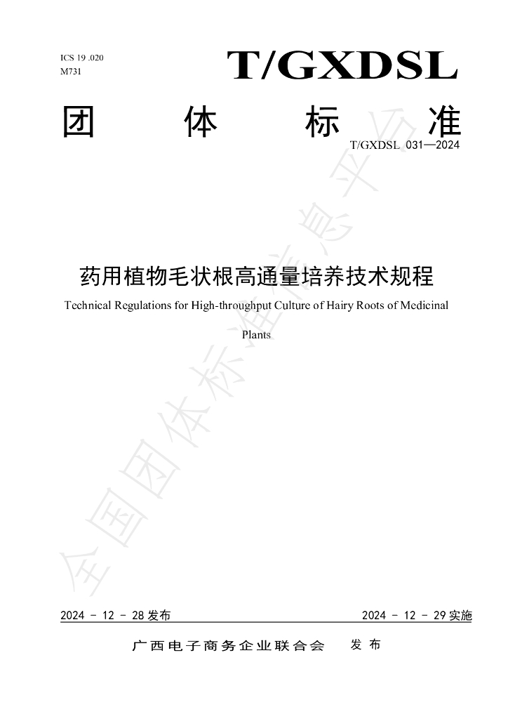 T/GXDSL 031-2024 标准预览