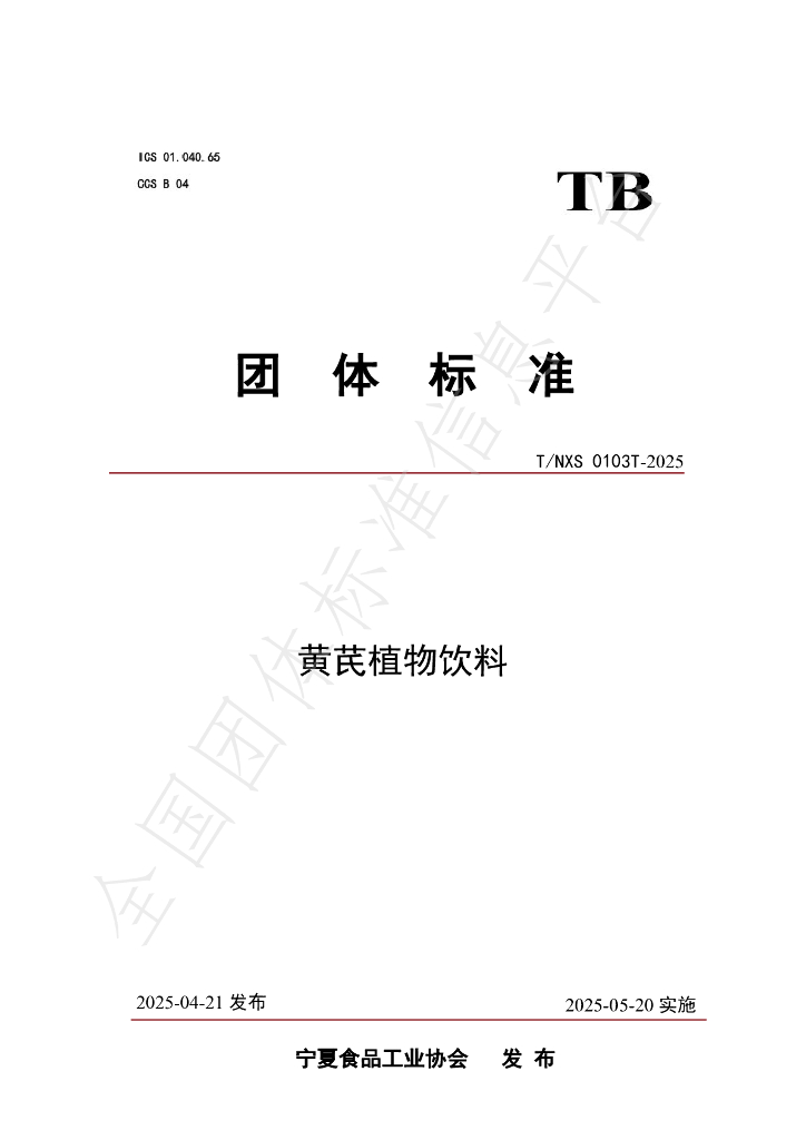 T/NXS 0103T-2025 标准预览