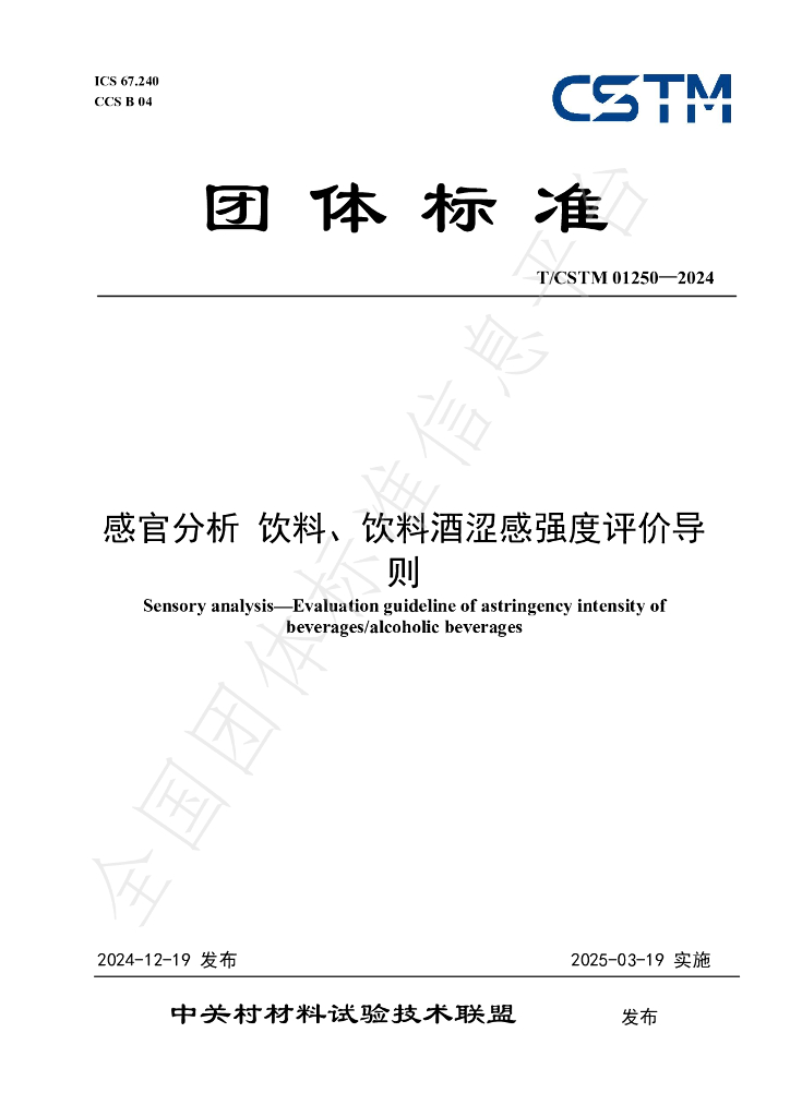 T/CSTM 01250-2024 标准预览